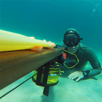 module chasse sous marine