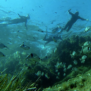 randonnee palmes masque tuba hyeres